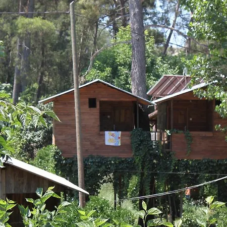Camlik * Olympos