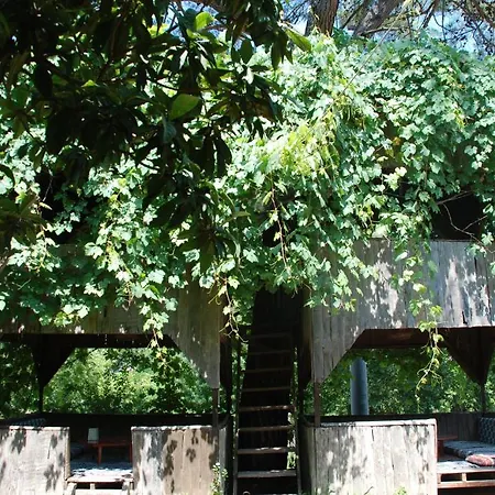 Camlik Olympos
