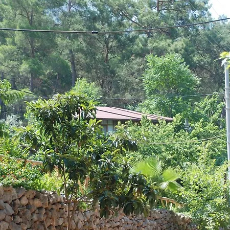 Guest house Camlik *