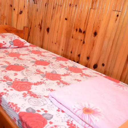 Camlik Guest house *